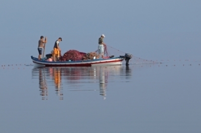 Offre d'emploi : Expert Financier et Administratif pour le projet FishEBM MED Offre d'emploi : Expert Financier et Administratif pour le projet FishEBM MED