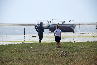 Appel à consultation pour le développement de la formation du Programme de jumelage des ASPIM Appel à consultation pour le développement de la formation du Programme de jumelage des ASPIM