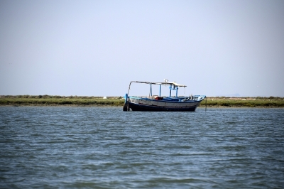 Appel à consultation pour le développement et la mise en œuvre d’un programme régional de renforcement des capacités du SPA/RAC pour la gestion effective des AMCP/ASPIM méditerranéennes en utilisant l’outil IMET Appel à consultation pour le développement et la mise en œuvre d’un programme régional de renforcement des capacités du SPA/RAC pour la gestion effective des AMCP/ASPIM méditerranéennes en utilisant l’outil IMET