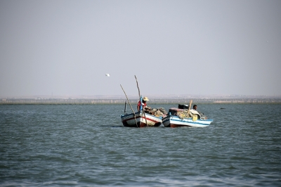 Appel à consultation pour l’élaboration d'une caracterisation socio-economique de la zone côtière et marine des îles Kneiss en Tunisie Appel à consultation pour l’élaboration d'une caracterisation socio-economique de la zone côtière et marine des îles Kneiss en Tunisie