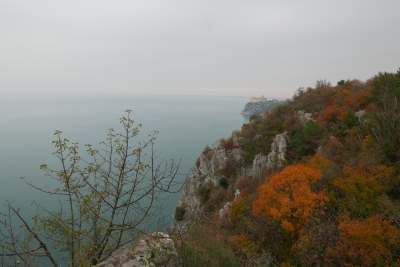 Appel à consultation : Développement d’un outil sur les bonnes pratiques des ASPIM en matière de cogestion et de gouvernance Appel à consultation : Développement d’un outil sur les bonnes pratiques des ASPIM en matière de cogestion et de gouvernance