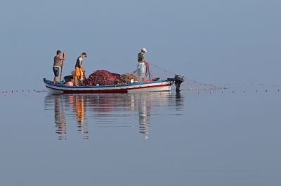 Appel à consultation : Coordinateur national pour l’élaboration et la mise en œuvre du Plan d’Action National Plus (NAP+) pilote et de son plan d’investissement en Tunisie