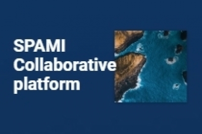 Collaborative platform for the Specially Protected Areas of Mediterranean Importance (SPAMI) Collaborative platform for the Specially Protected Areas of Mediterranean Importance (SPAMI)